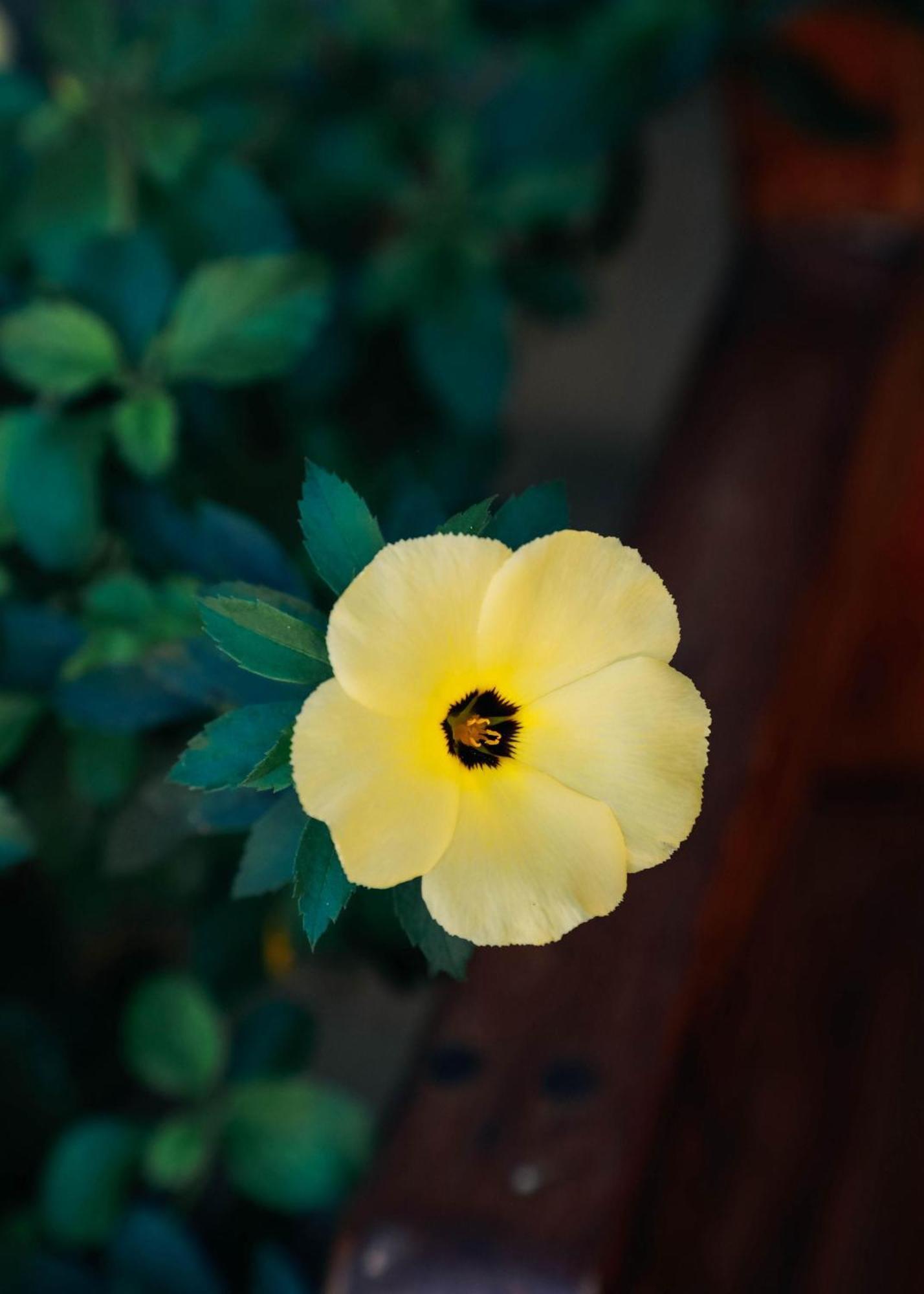 Hotel Y Restaurante El Paramo San Rafael  エクステリア 写真